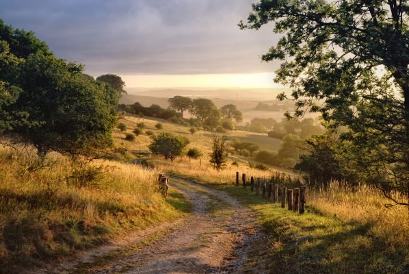 What to expect when you’re expecting (to move to the countryside)