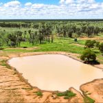 Tooloombilla’s own: Damian Brennan takes rodeo world by storm | Queensland Country Life