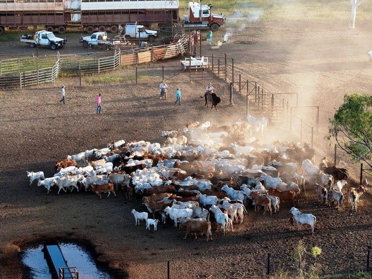 A smart work tool on a remote outback cattle station