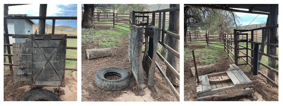 Old school craftmanship: Morrissey & Co finds 1920s wooden calving cradle still in use