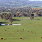 Biosecurity levy on farmers a ‘free kick’ for importers: NFF