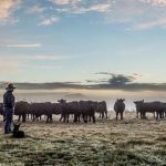 Qld councils join calls to abandon GAB carbon capture