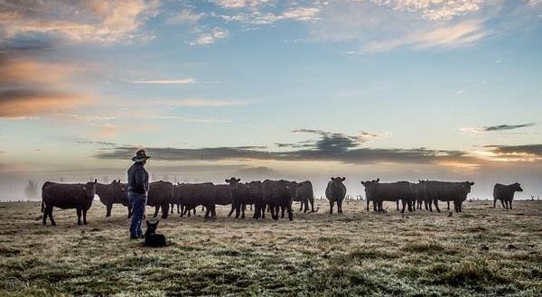 BredWell FedWell workshops return to NSW Northern Tablelands