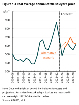 ABARES tips cattle price recovery in 2024-25