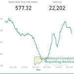 Beef swaps hedging tool launched for Australian market