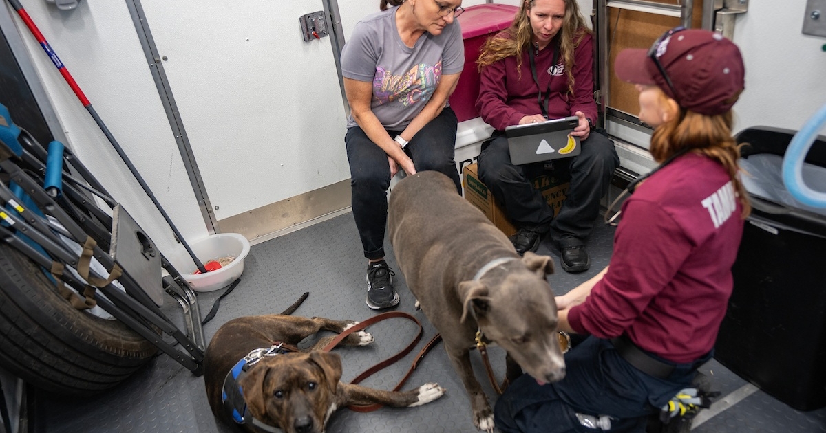 Texas A&M Veterinary Emergency Team returns from wildfire deployment