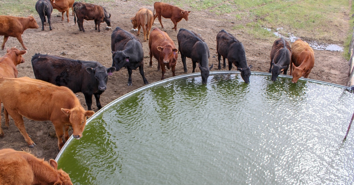 Nebraska Extension hosting ranch technology roundtable