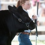 Beef's reigning commercial cattle champs back for more in 2024