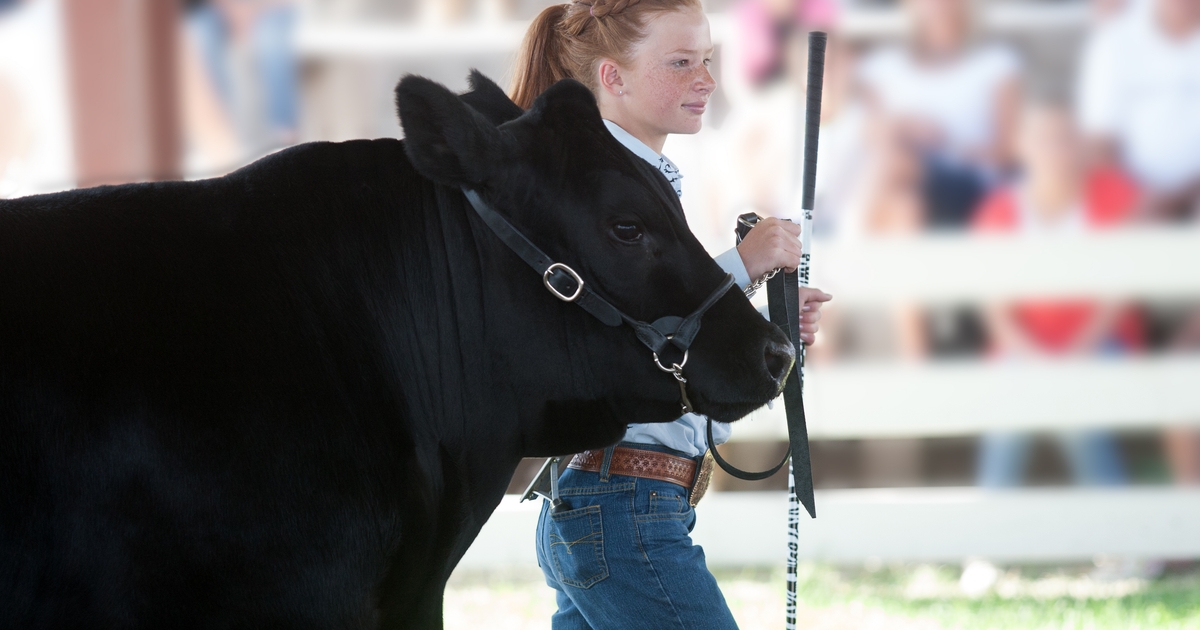 Georgia Boot renews partnership with 4-H