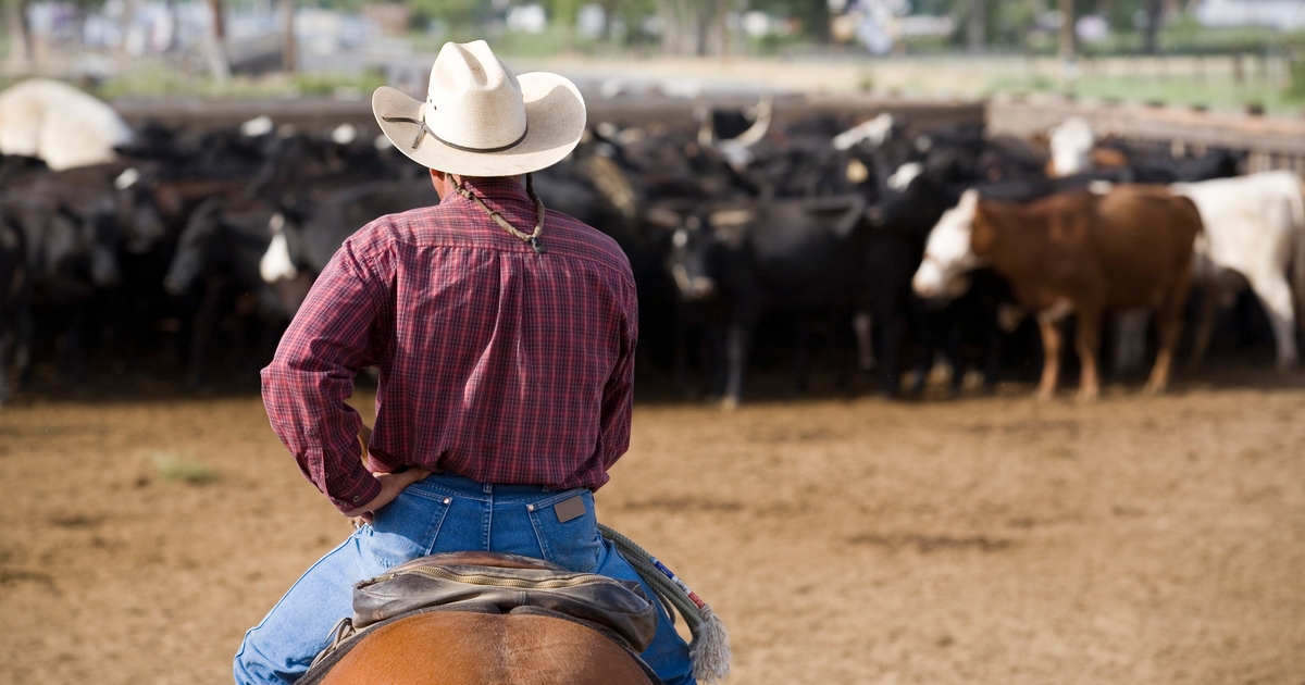 Groundbreaking working grant program launches in Texas, Oklahoma