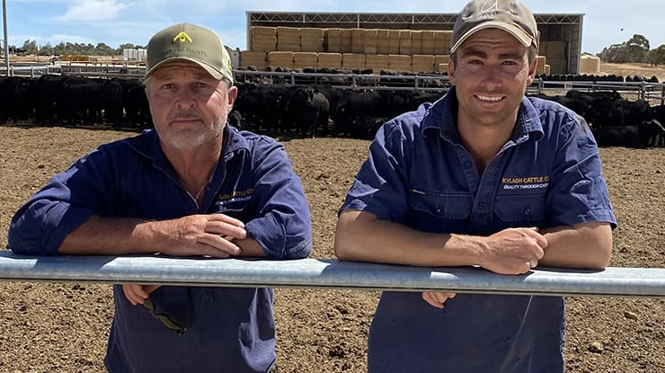 Animal wellbeing focus delivers results for WA lotfeeders