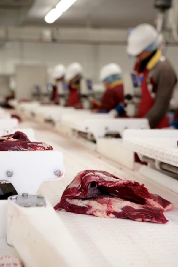 National slaughter surges to four-year highs