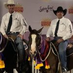 6yo stallion makes $38,000 at WA Elite Horse Sale at Coolup. | Farm Weekly