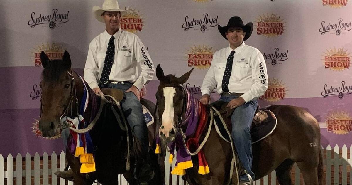 Julia Creek horse wins World Championship Campdraft