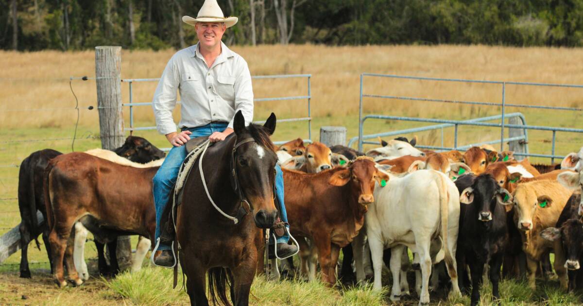 'The sickest I can remember ever being': Tony Perrett shares Q fever story