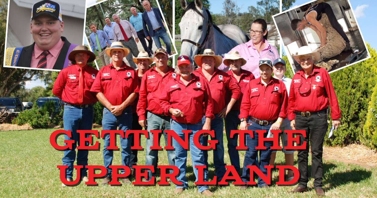 Young auctioneers, country racing and Oxley feature in Getting The Upper Land