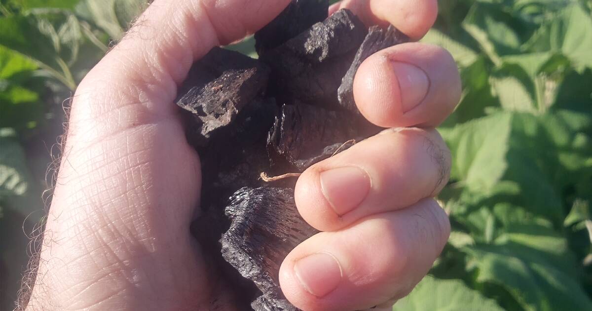 Australia’s Biochar Industry Roadmap Unveiled | Farm Weekly