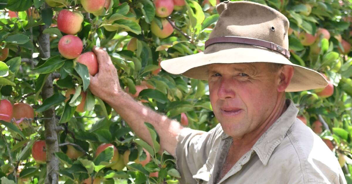 NSW growers chase a fairer go at inquiry