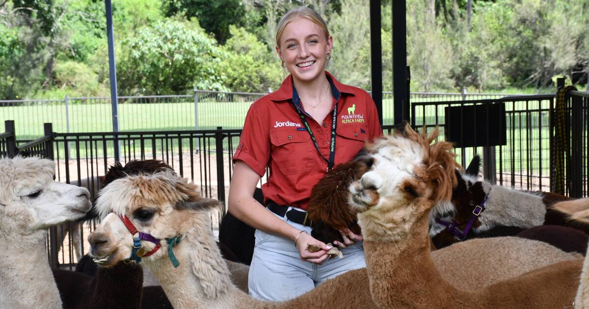 How these alpacas are helping to sell their own fleece