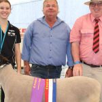 Tenterfield Angus weaner cattle sale | Queensland Country Life