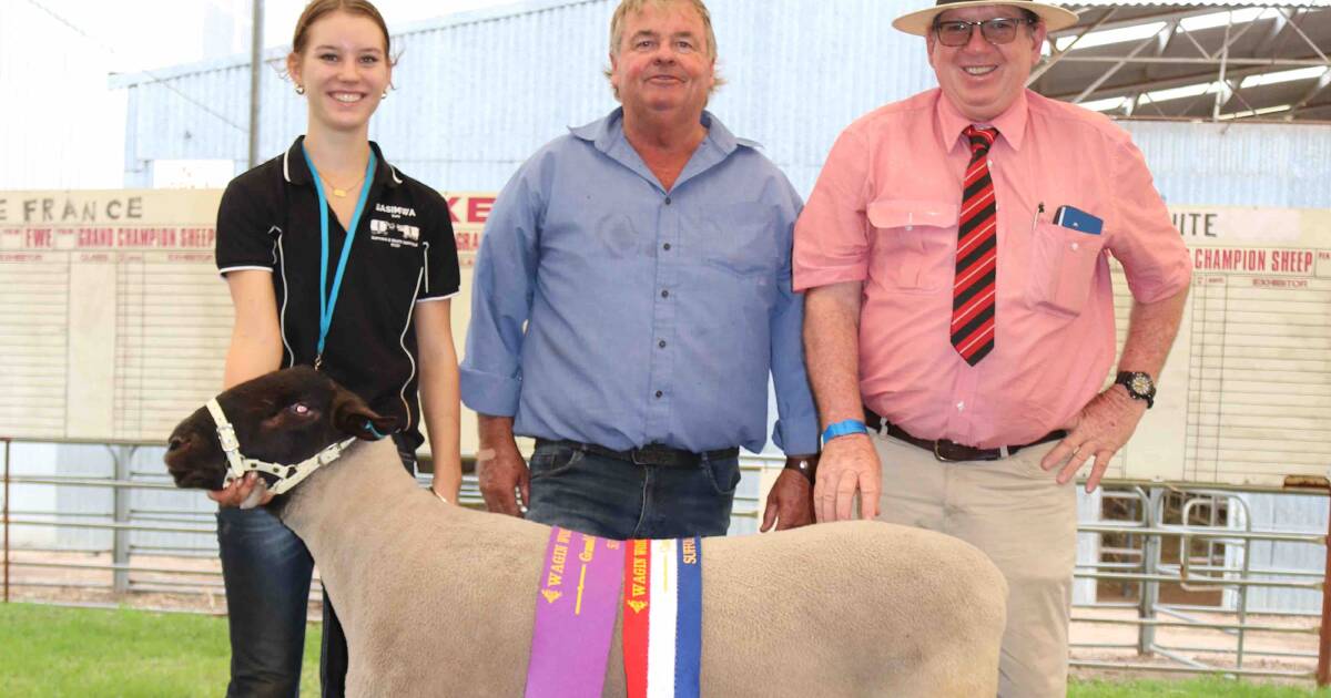 Sasimwa Suffolk ram wins grand champion