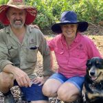 Highlands Droughtmaster Sale Delivers Value-for-Money Options | North Queensland Register