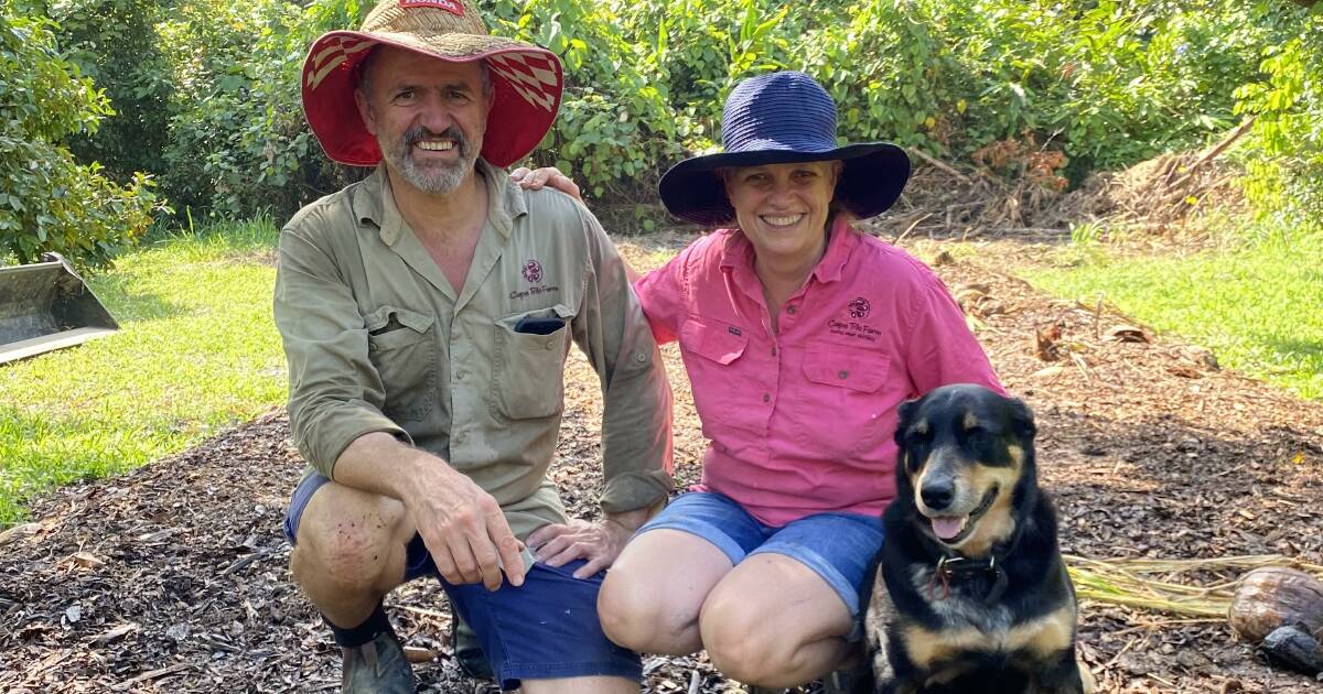 'We've been abandoned', Cape Tribulation residents strangled by red tape