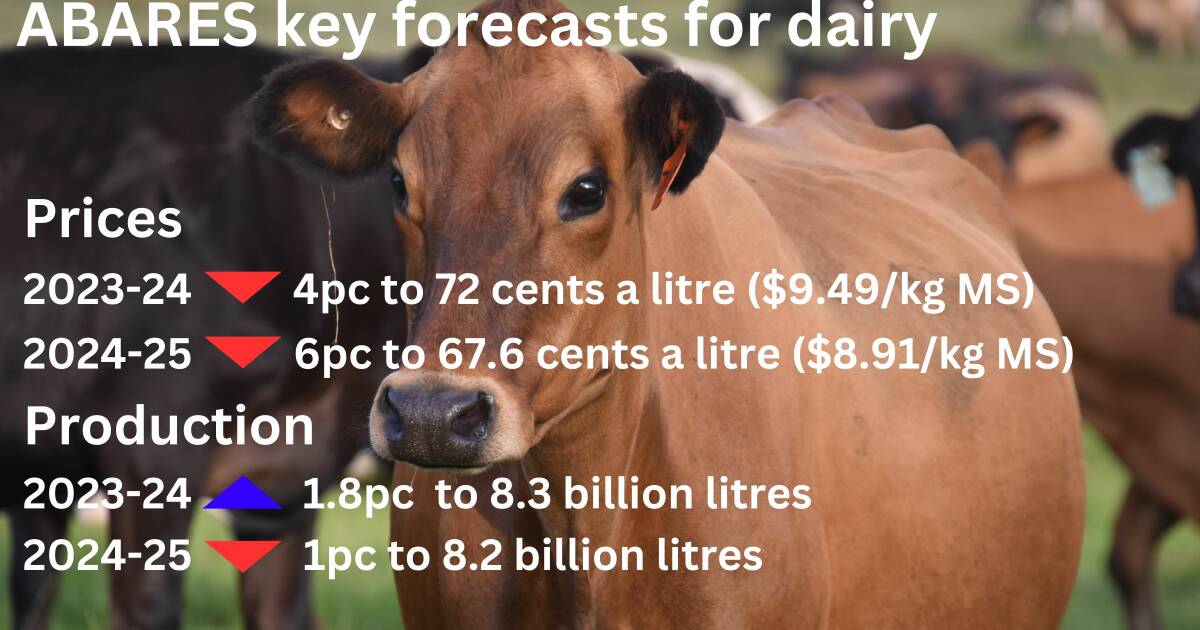 ABARES forecasts 6 per cent fall in farmgate milk price for 2024-25