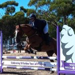 Kenview Gunner (P) Crowned Supreme Exhibit at Droughtmaster Futurity Show | Queensland Country Life