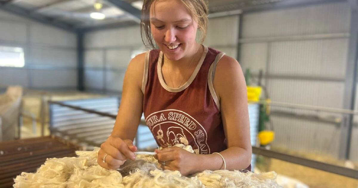 TAFE NSW Hay students shine in wool industry where careers beckon | The Land