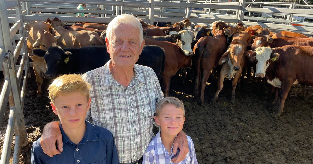 Queensland buyers weaner buying spree in NSW | The Land