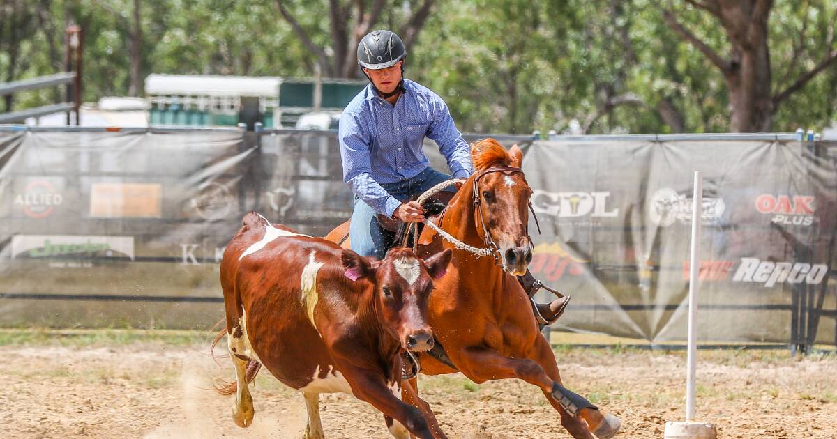 Brymaroo Campdraft benefits school