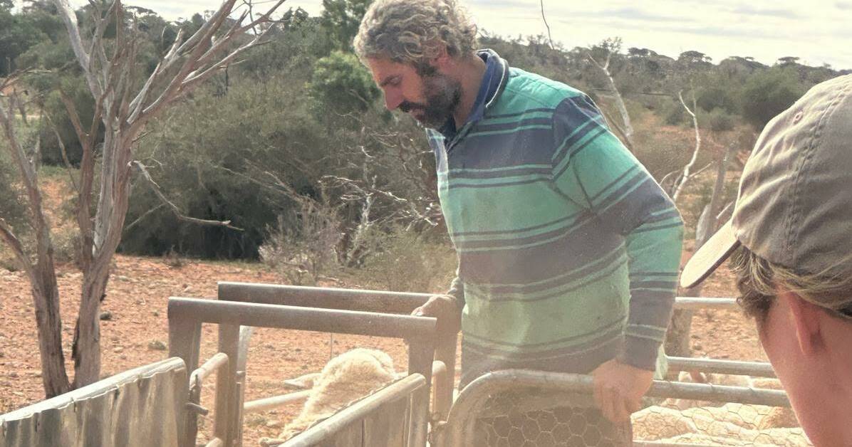 Rawlinna manager calls it a day after six shearing seasons | Farm Weekly