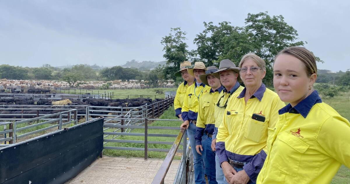 Record export numbers leave graziers 'ecstatic'