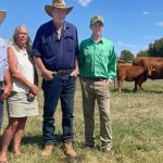 Top Results at Pugh Family’s Summit Gelbvieh Bull Sale | Farm Weekly