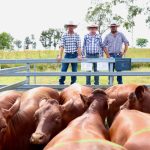 Southern Downs MP James Lister defends Goondiwindi Council over Toobeah native title claim | Queensland Country Life