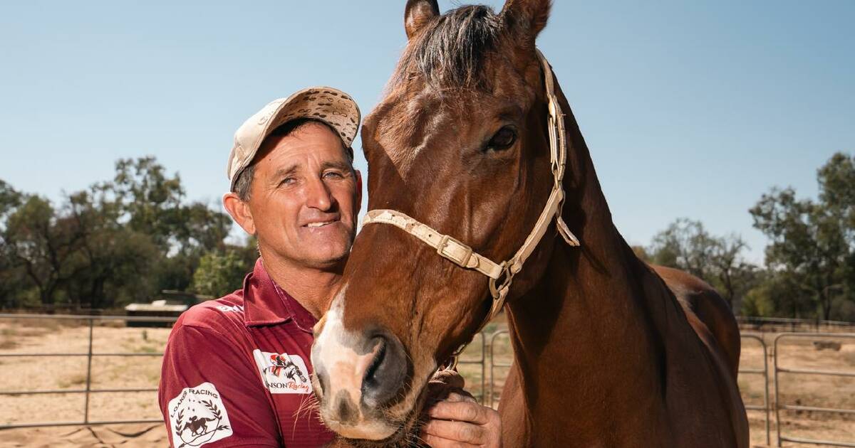 Fab's Cowboy breaks modern race record at Mount Isa track