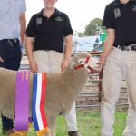 Dedication to sheep industry paying off