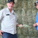 Farmer unity needed in development of renewable energy industry | Queensland Country Life