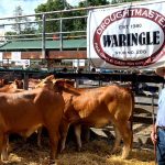 'Light bulb moments' at barrel racing clinic