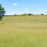 Borroloola Floods: Cyclone Megan Aftermath | The North West Star