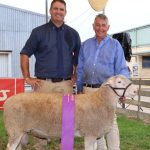 A ‘smart’ examination to improve livestock management efficiency