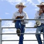 Large areas of WA's irrigation country opened up for cotton