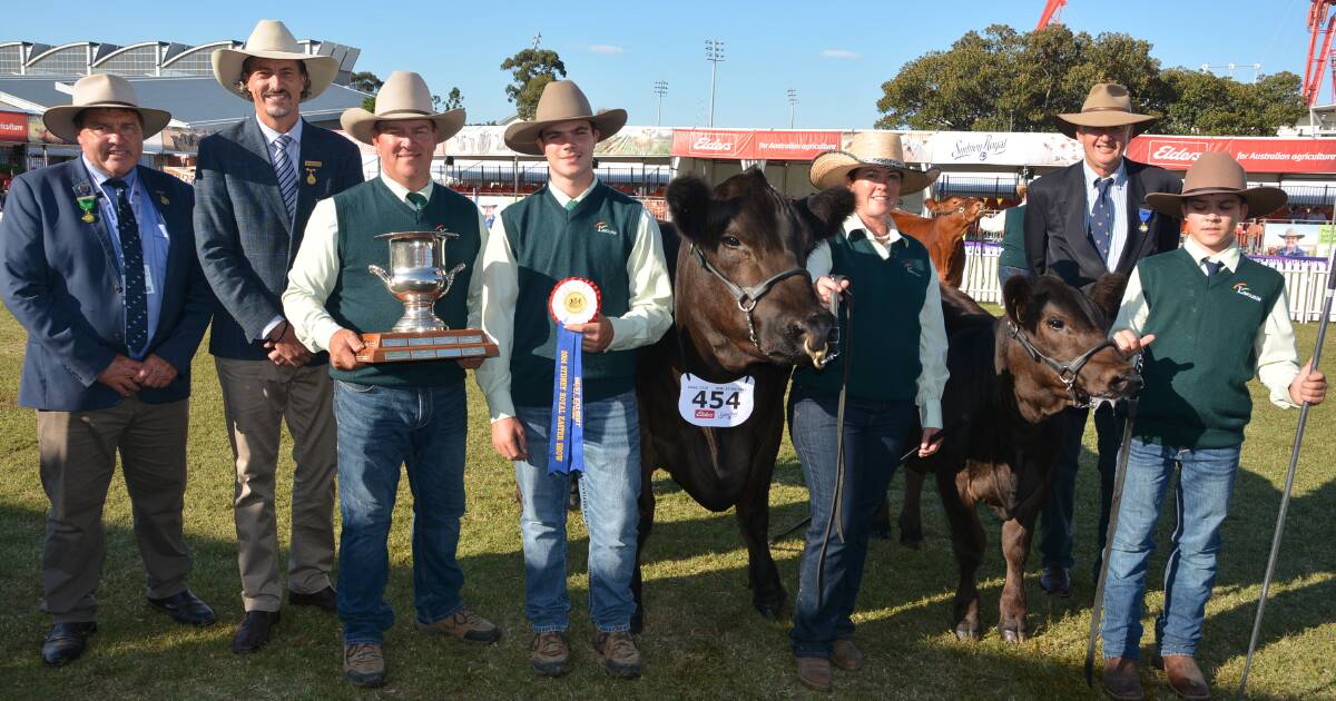 Flemington Limousins' cow best exhibit adds to the family quinella