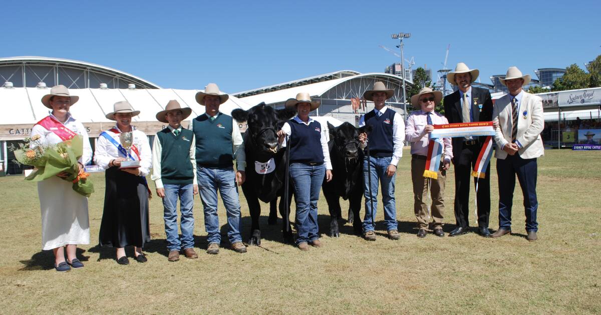 Angus cow reigns supreme in Urquhart Trophy