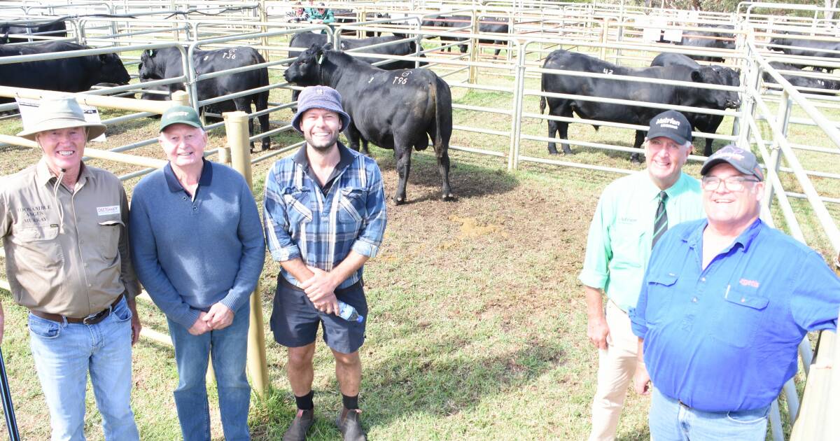 Davis Family’s Coonamble Angus Bull Sale – Bremer Bay Highlights | Farm Weekly