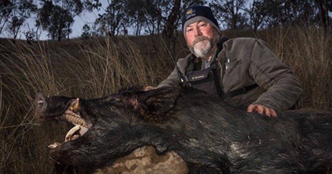 'Biggest wildlife study in Australia' gains traction among pig hunters