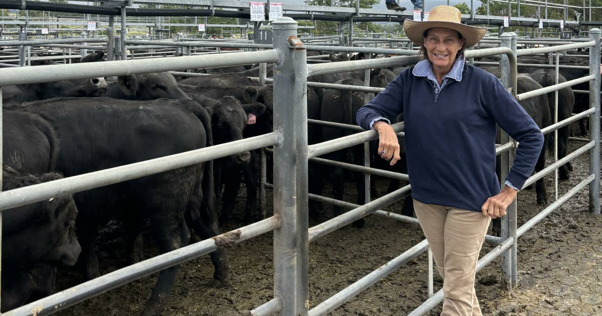 Heifers sell to a firm market at Bega