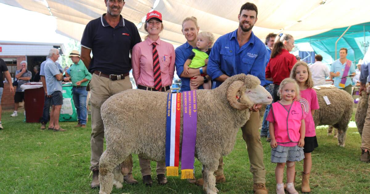 Wililoo stud, Woodanilling, wins the grand champion Merino ram at Wagin. | Farm Weekly