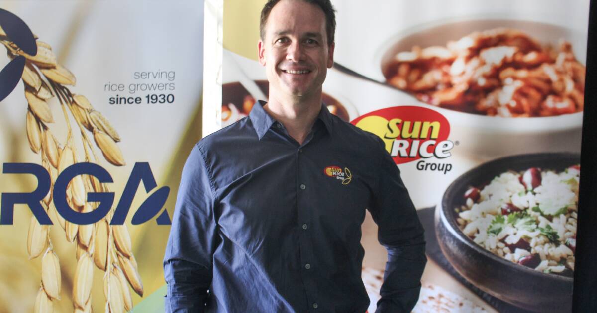 SunRice releases pool price range for the 2024 crop year